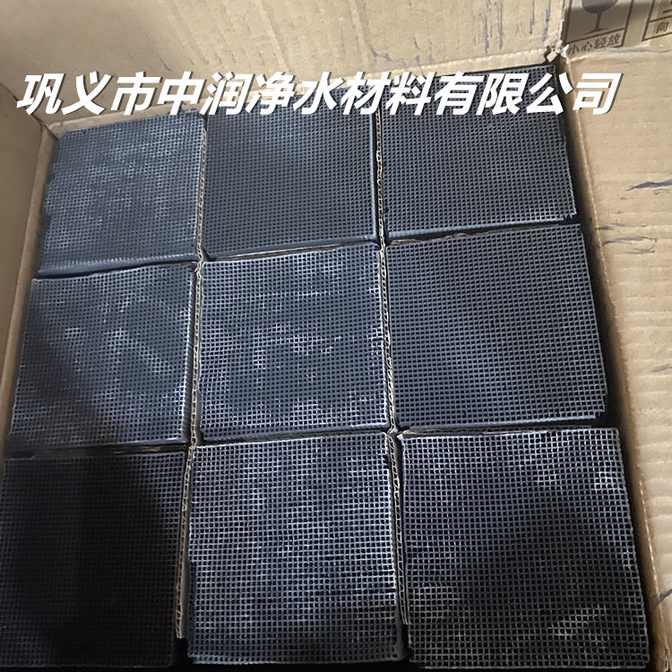 ��C����̿